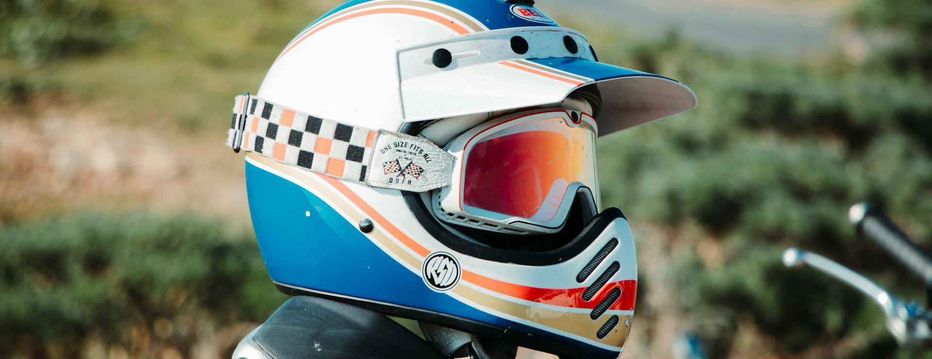 Scorpion 3 Scorpion -Scorpion pexels griffinw 3864114